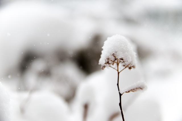 札幌雪まつりに行く際の寒さ対策【3選】