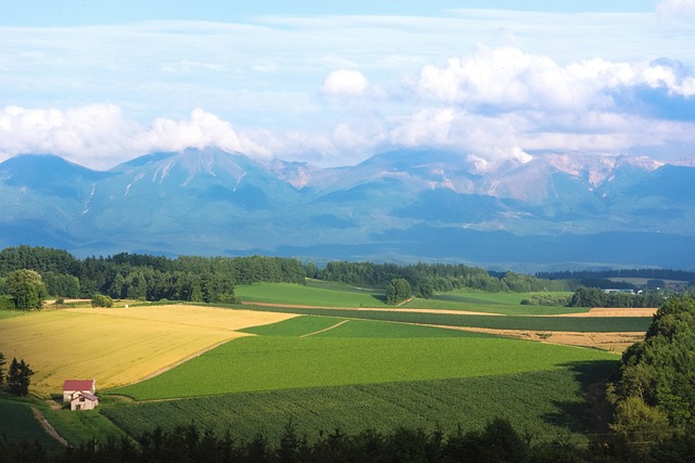 北海道旅行で注意するべきこと【3選】