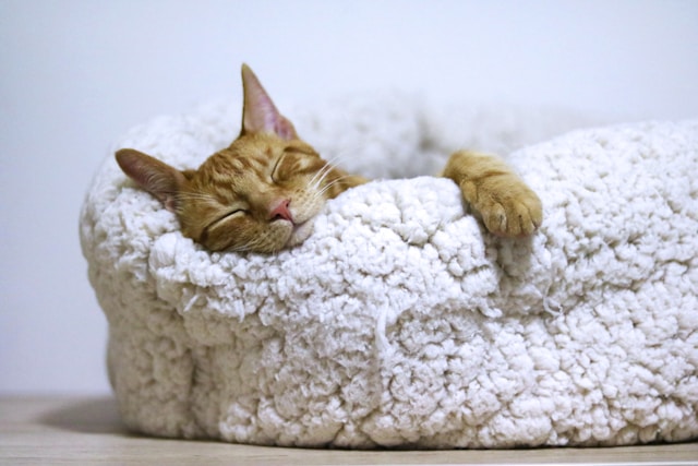勉強は眠くなる