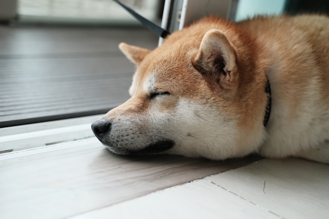 休む