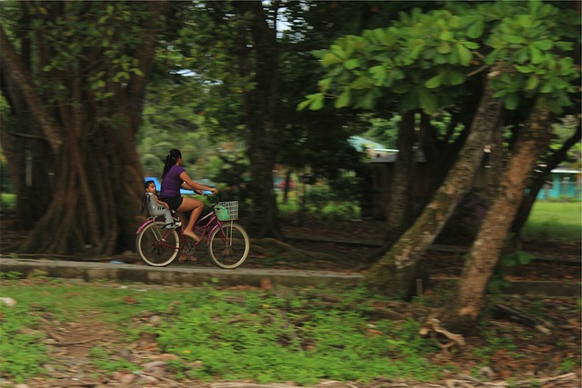 自転車